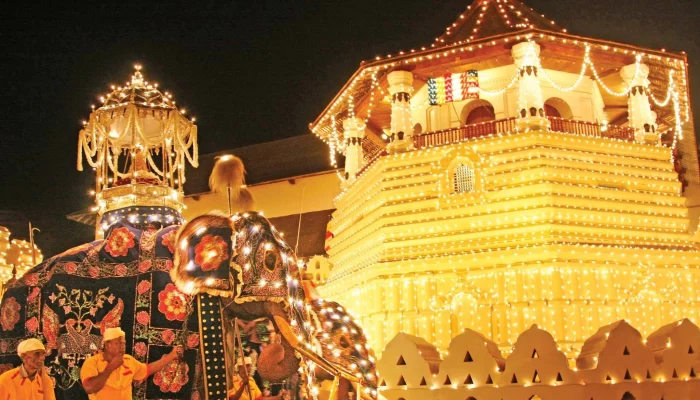 Featured-Image-3-e1629564214632