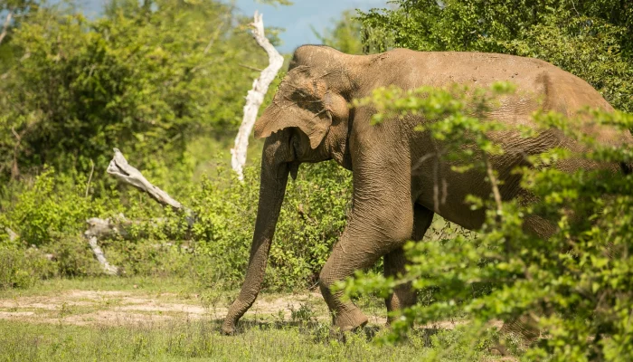 egle-sidaraviciute-neyeViSnFFo-unsplash